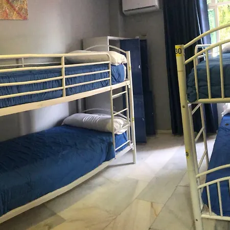 Guest house Livia Urban 2*