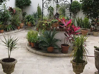 Pensión Livia Urban Torremolinos
